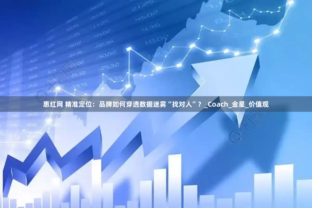 惠红网 精准定位：品牌如何穿透数据迷雾“找对人”？_Coach_金星_价值观