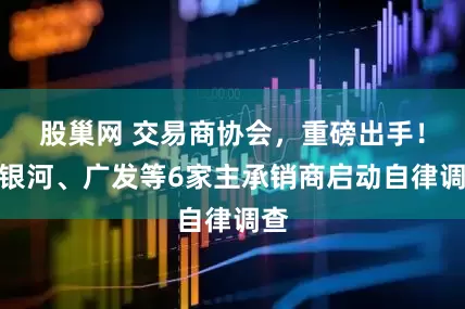 股巢网 交易商协会，重磅出手！对银河、广发等6家主承销商启动自律调查