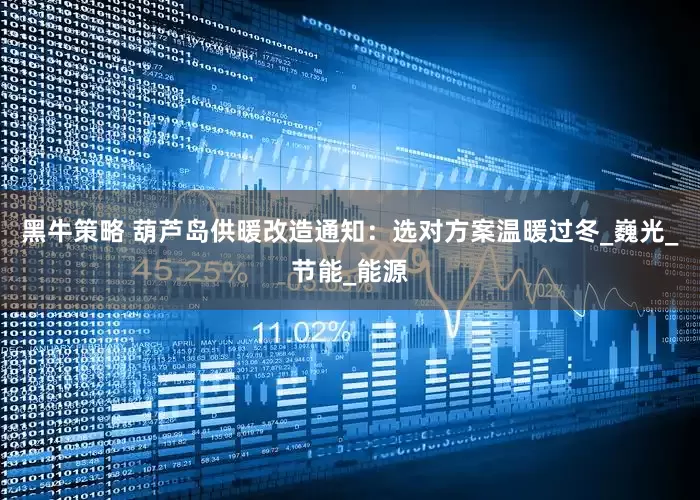 黑牛策略 葫芦岛供暖改造通知：选对方案温暖过冬_巍光_节能_能源