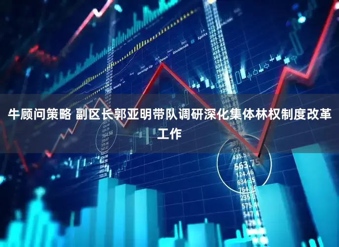 牛顾问策略 副区长郭亚明带队调研深化集体林权制度改革工作
